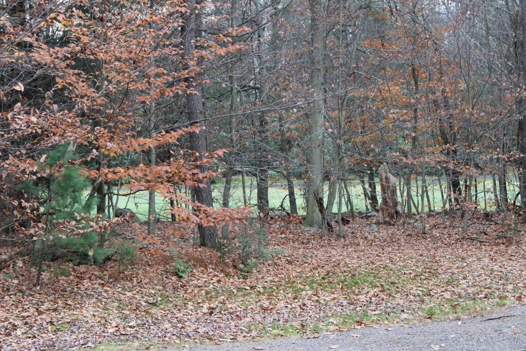 Luxury 4 Bedroom House In Pocono Mountains In Golf Course Near Lake Tobyhanna Luaran gambar